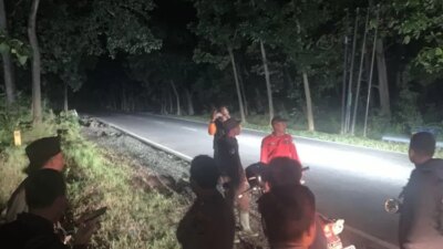 polhut-baluran-kejar-pelaku-illegal-logging,-dua-pohon-jati-ditebang-di-hutan-baluran