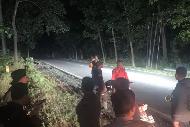 polhut-baluran-kejar-pelaku-illegal-logging,-dua-pohon-jati-ditebang-di-hutan-baluran