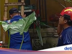 Emak-emak Banyuwangi Terjebak di Lantai 2 Rumahnya Minta Bantuan Damkar
