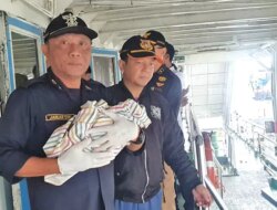 Bayi Lahir di Atas KMP Satria Nusantara Rute Bali–Banyuwangi, Diberi Nama Satria Nusantara Ramadhani