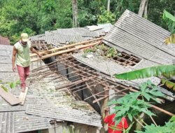 Rumah Warga Sempu Banyuwangi Ambruk Ditimpa Pohon Bayur saat Angin Kencang, BPBD Lakukan Asesmen