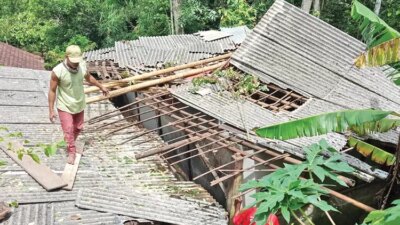 rumah-warga-sempu-banyuwangi-ambruk-ditimpa-pohon-bayur-saat-angin-kencang,-bpbd-lakukan-asesmen