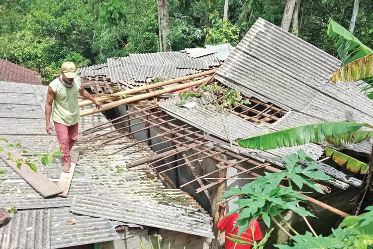 rumah-warga-sempu-banyuwangi-ambruk-ditimpa-pohon-bayur-saat-angin-kencang,-bpbd-lakukan-asesmen