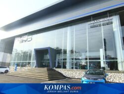 Potensi Pasar Kendaraan Listrik di Daerah: BYD Ekspansi ke Banyuwangi