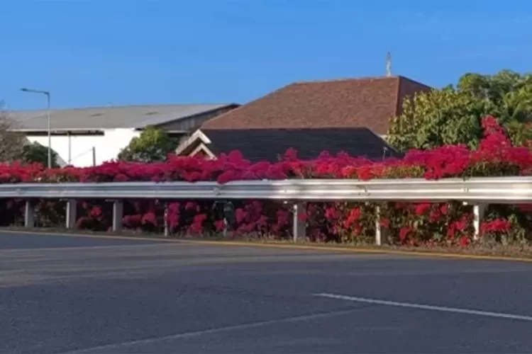 viral!-tol-makassar-punya-view-ala-jepang-dan-korea,-dipenuhi-bougenville-cantik
