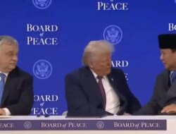 Waketum MUI Cholil Nafis Usul Indonesia Keluar dari Board of Peace Gagasan Donald Trump