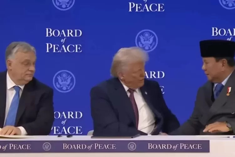 waketum-mui-cholil-nafis-usul-indonesia-keluar-dari-board-of-peace-gagasan-donald-trump