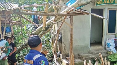 angin-kencang-di-banyuwangi-tumbangkan-pohon,-dua-rumah-di-srono-rusak-tertimpa