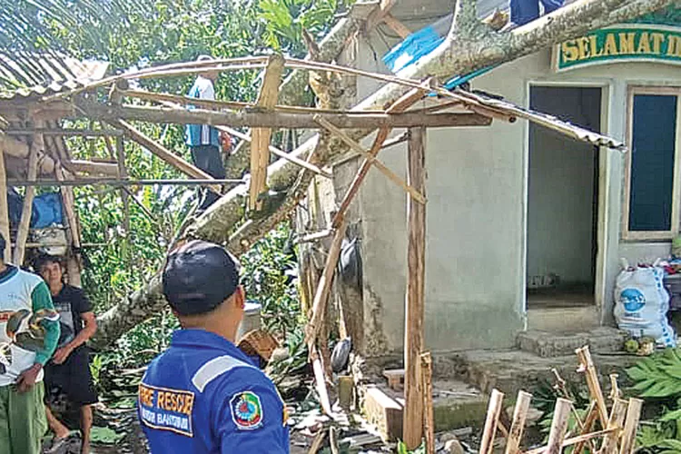 angin-kencang-di-banyuwangi-tumbangkan-pohon,-dua-rumah-di-srono-rusak-tertimpa
