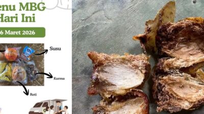 menu-mbg-di-mi-darus-sholah-muncar-ditemukan-berbelatung,-wali-murid-soroti-kualitas-program.