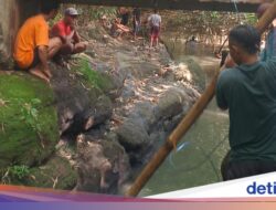 Bocah 7 Tahun di Banyuwangi Tewas Tenggelam di Sungai