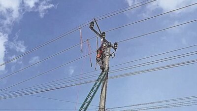 angin-kencang-tumbangkan-pohon-pinus,-listrik-di-sempu-banyuwangi-padam-hingga-tiga-kali