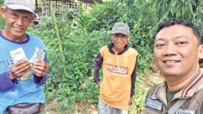 domba-mati-misterius-di-bangorejo-banyuwangi,-diduga-diserang-anjing-liar-saat-musim-kawin