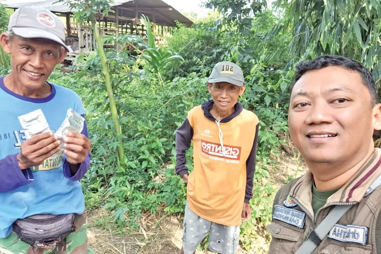 domba-mati-misterius-di-bangorejo-banyuwangi,-diduga-diserang-anjing-liar-saat-musim-kawin