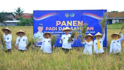 panen-padi-dan-sayuran-di-sae-paswangi,-kakanwil-ditjen-pas-jatim-apresiasi-inovasi-pembinaan-lapas-banyuwangi.
