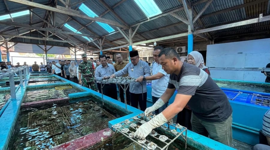 Mendag Budi Santoso Melepas Ekspor Koral Hias Hasil Budidaya di Banyuwangi