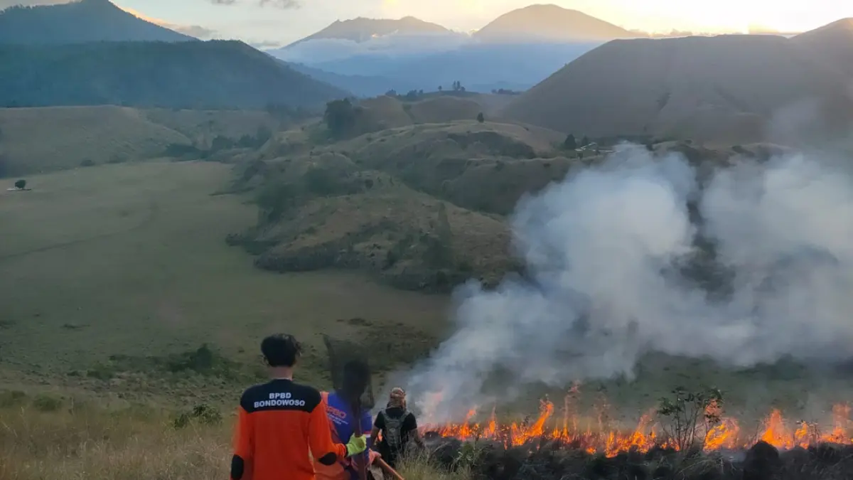 Kebakaran Landa Kawah Wurung Bondowoso, Petugas Pantau Ketat Jalur Api Menuju Kawasan Ijen
