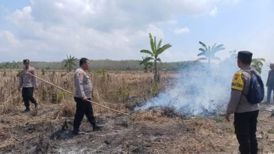 Titik Api Musim Kemarau Muncul, Hutan Kalipait Banyuwangi Nyaris Terbakar
