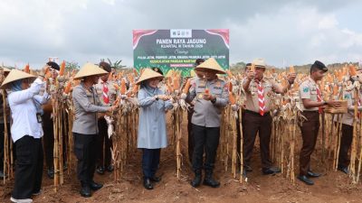 Kapolda Jatim dan Bupati Ipuk Gelar Panen Raya Guna Jaga Surplus Pangan