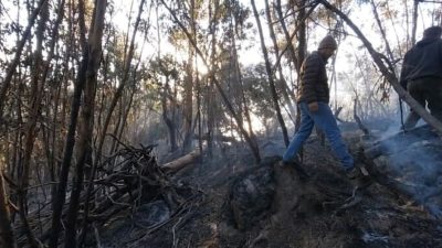 Kebakaran Hutan di Gunung Ijen Padam, Pembukaan Jalur Pendakian Masih Ditangguhkan
