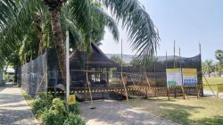 Dinas PU CKPP Banyuwangi Renovasi Rumah Osing di Taman Blambangan