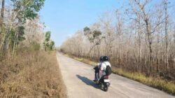 Musim Kemarau, 3.700 Hektare Hutan Jati Karetan Banyuwangi Rawan Kebakaran